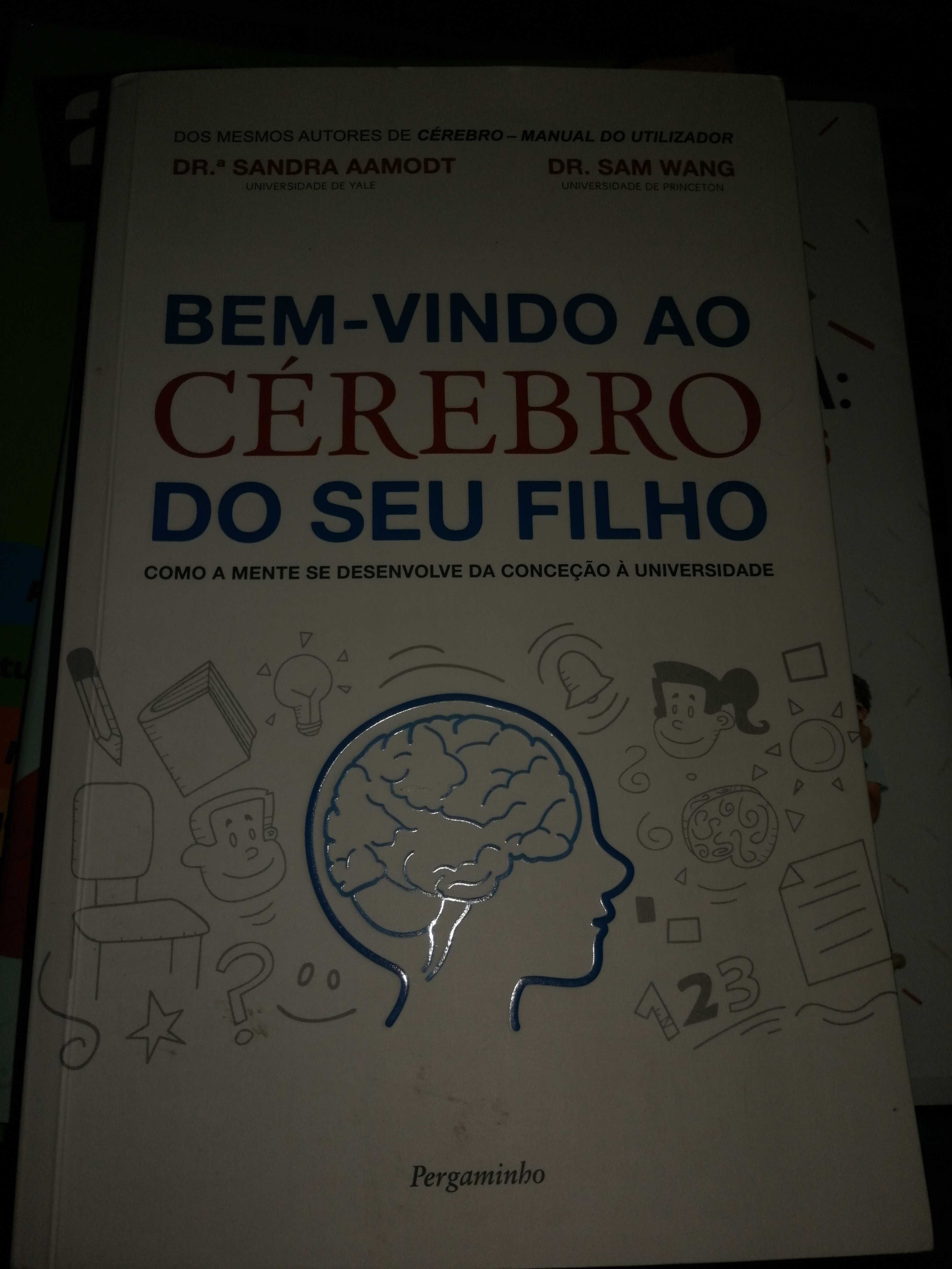 Livro "Bem vindo ao cérebro do seu filho"