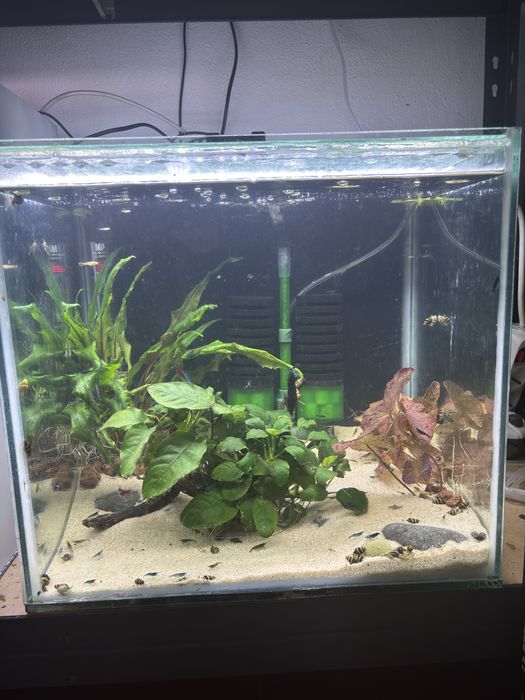 Aquario 42x40x40