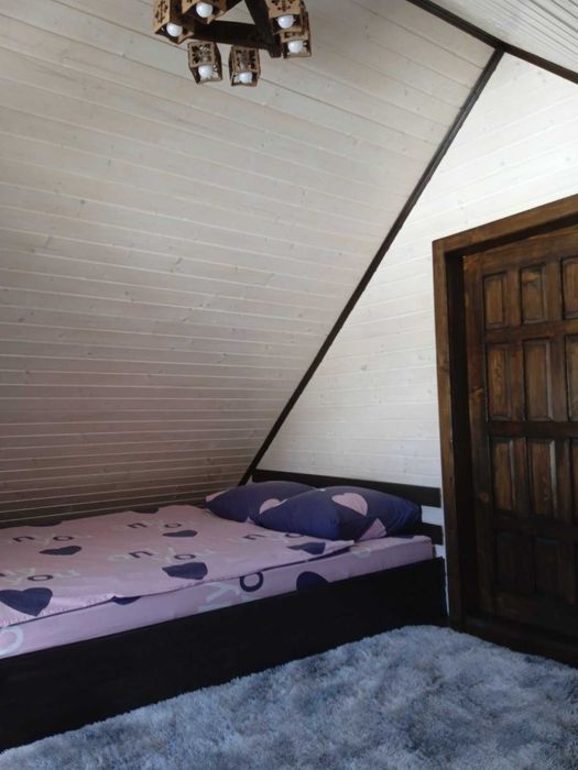 Будинок Ніч в Карпатах