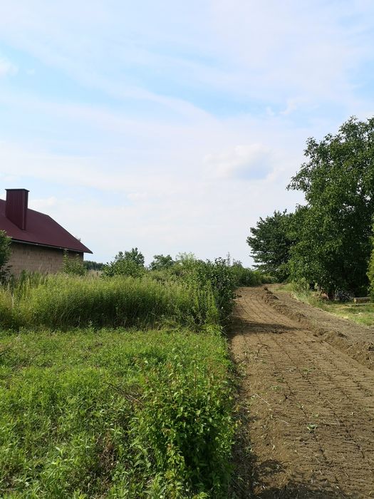 Czyszczenie dzialek mulczer leśny frezowanie pni likwidacja zakrzaczen