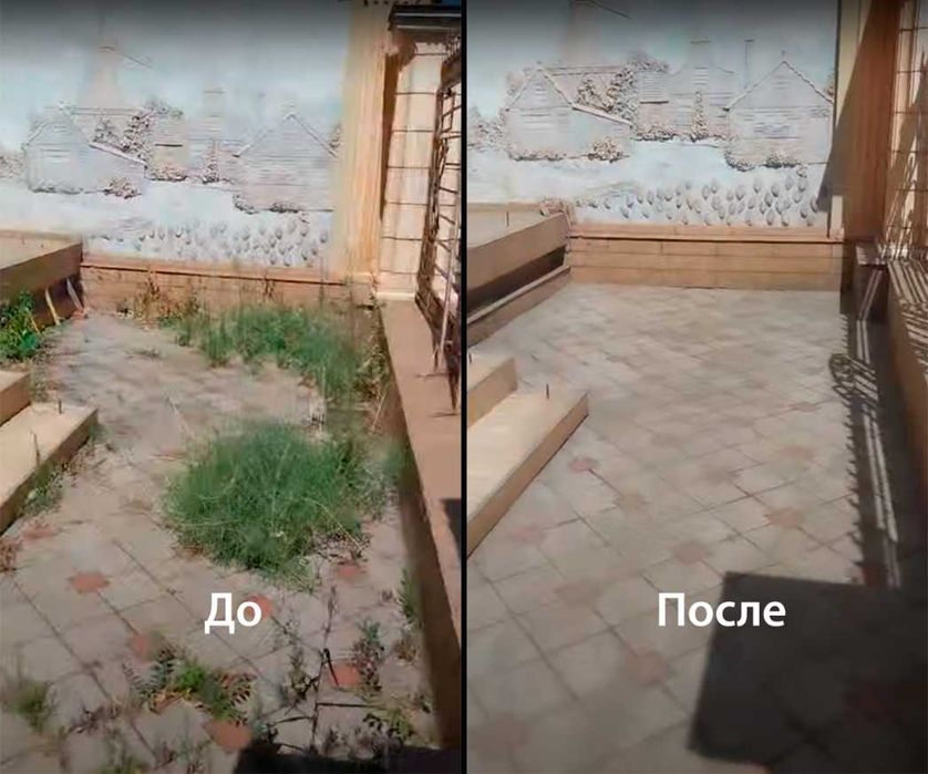 Комплексная уборка земельных и дачных участков по Кривому Рогу.