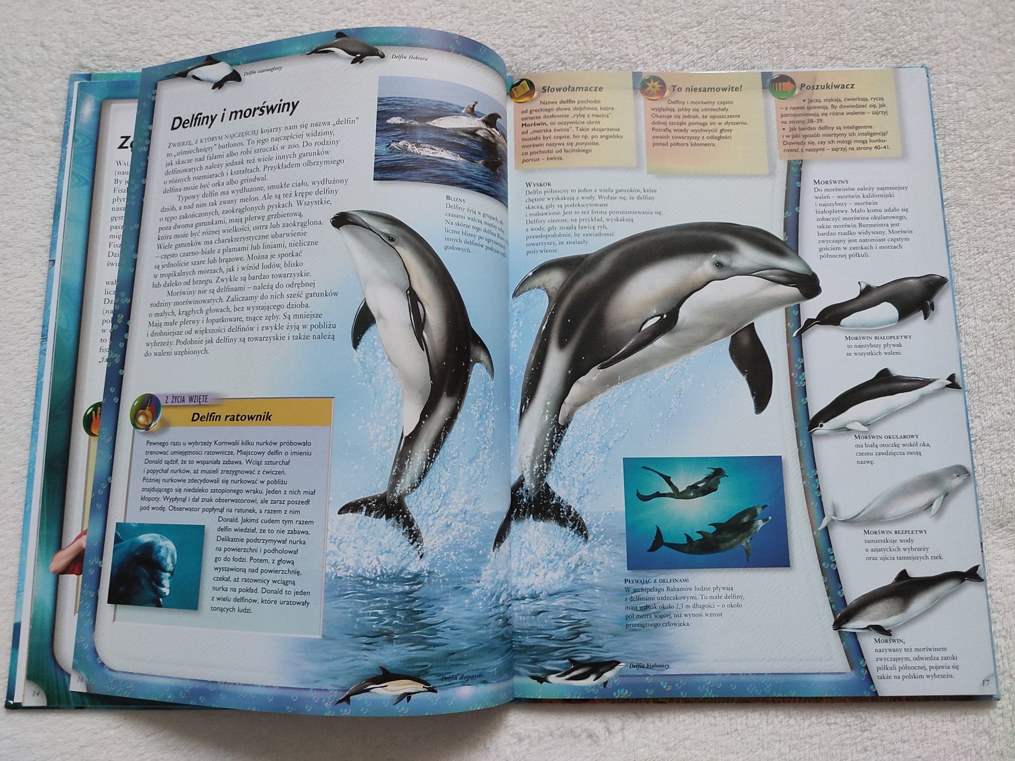 Książka z ciekawostkami "Walenie-wieloryby, delfiny i morświny"