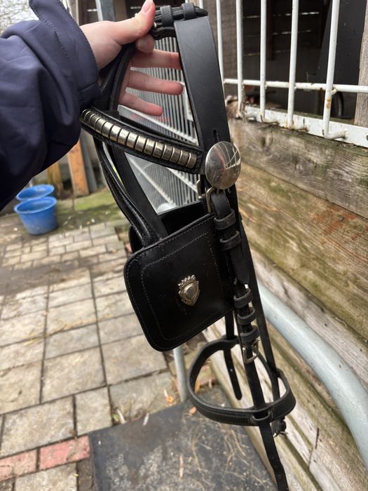 Oglowie zaprzęgowe cob