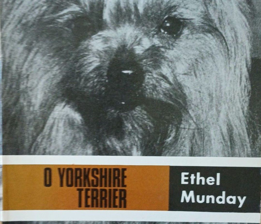 Yorkshire Livro antigo