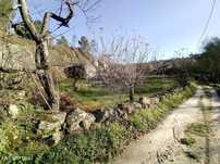 Terreno  para venda