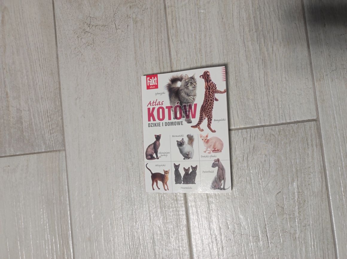 Atlas kotów dzikich i domowych