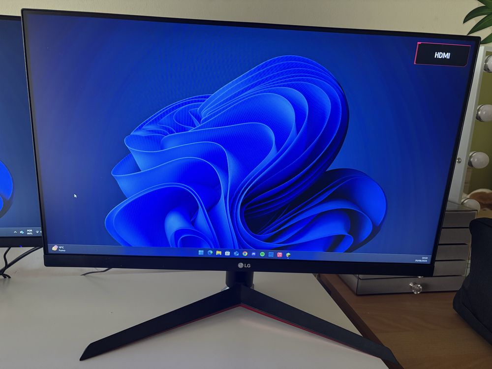 Monitor LG Gaming