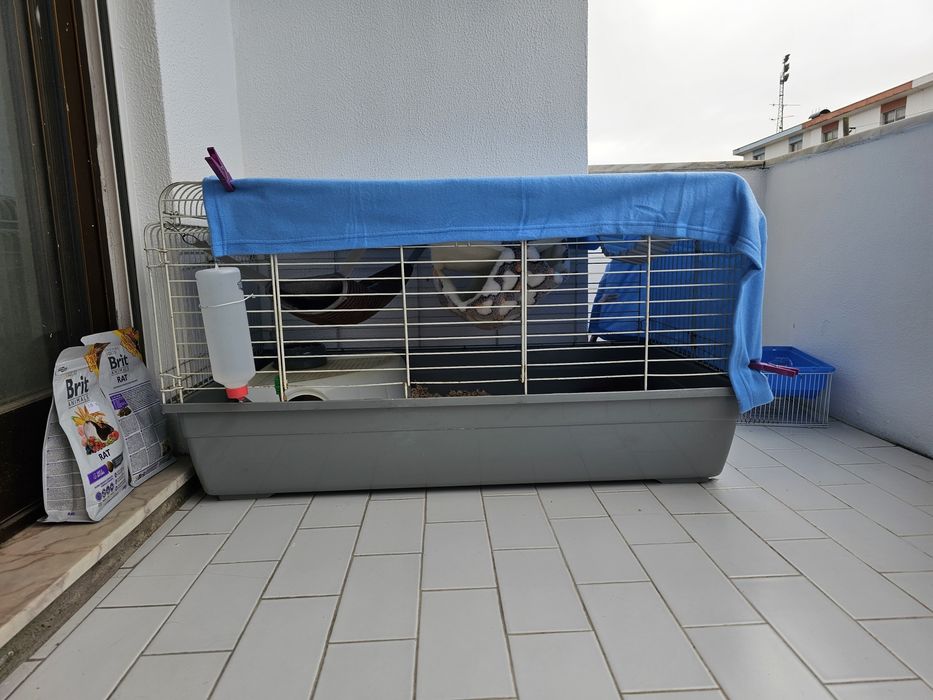 Gaiola para roedores