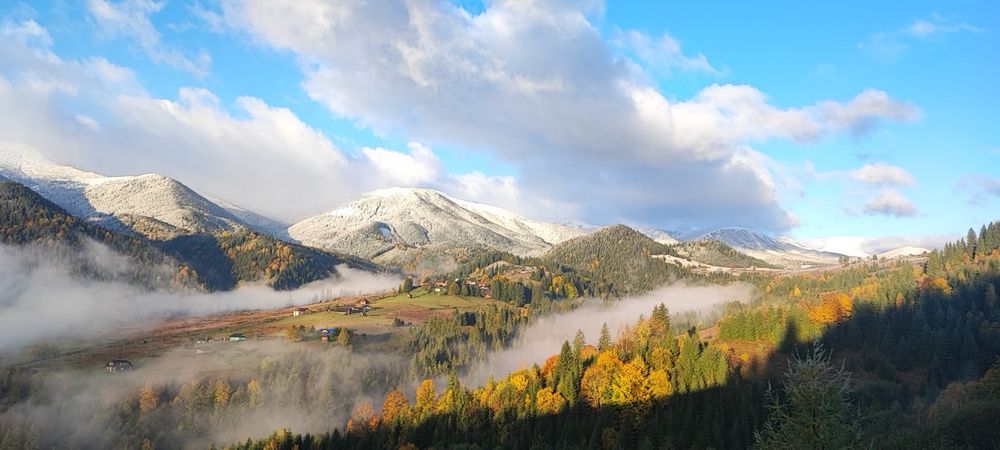 Земельні ділянки в Дземброні