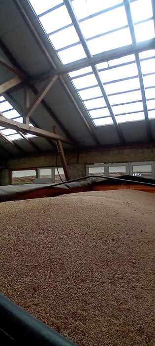 Przenżyto ,nie żyto,