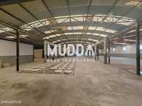 Armazém Industrial em Avanca, Estarreja