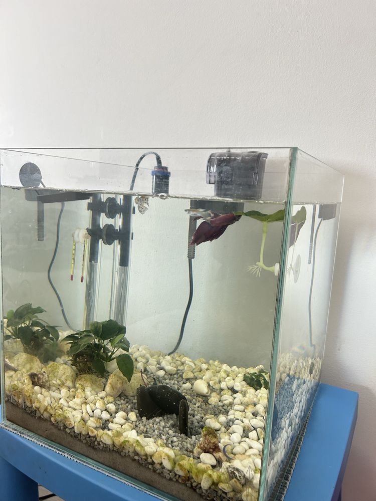 Aquario cubo 35cm