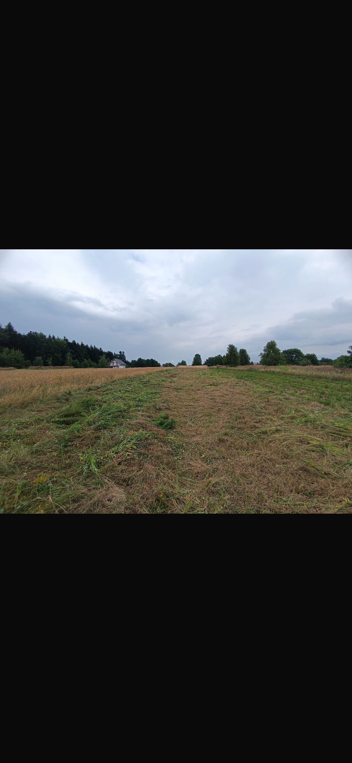 Sprzedam działkę rolną we wsi Kamionka , gmina Bodzentyn