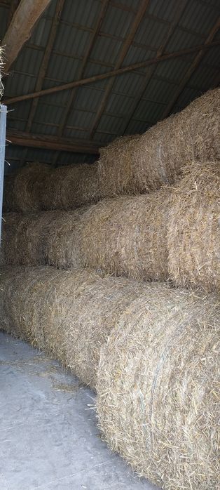 Balot słomy 120x120