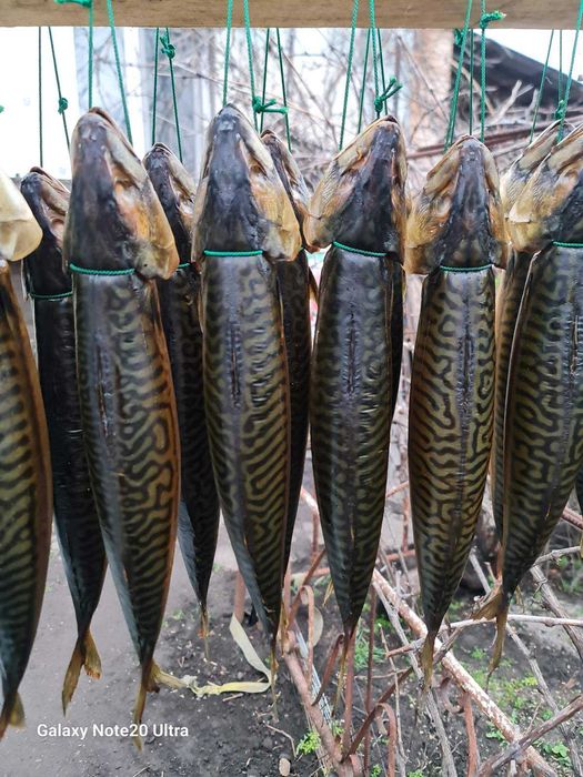 Рыба натурального копчения