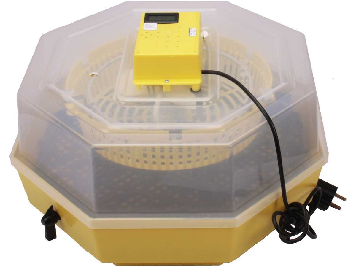Inkubator CLEO 5DT klujnik wylęgarka półautomat 60 jaj LCD gwarancja