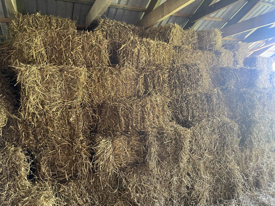 Słoma  , siano w kostkach