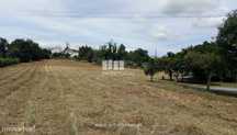 Venda de Terreno para construção, Neves, Vila de Punhe