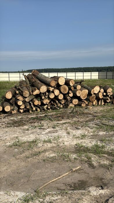 Дрова рубані (Дуб граб Береза вільха)