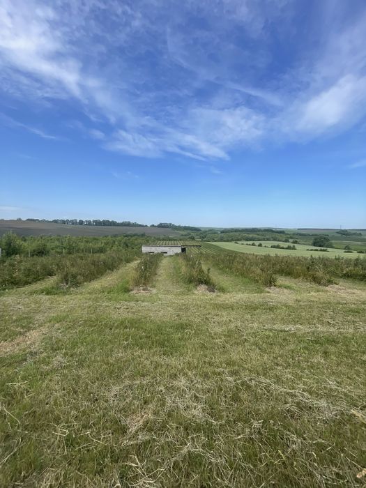 Продаж земельної ділянки з бізнесом 4 га