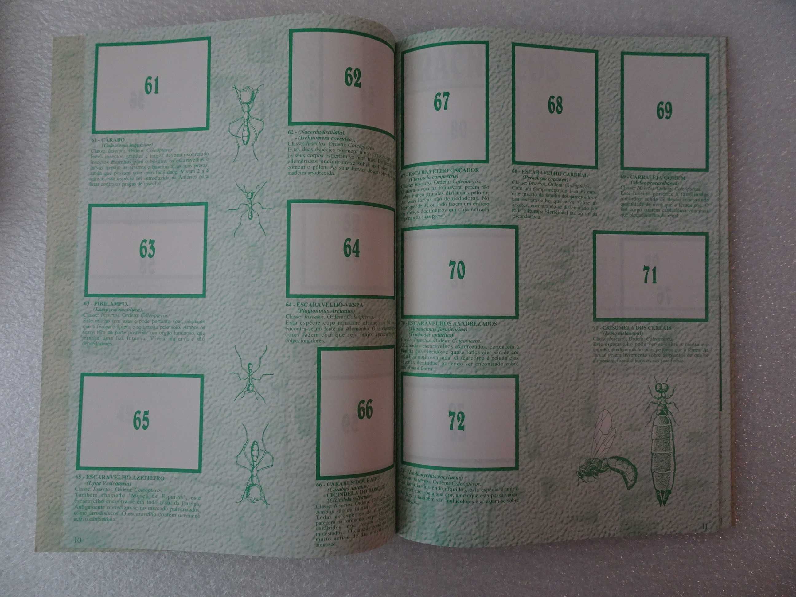 Caderneta de cromos vazia O Mundo Maravilhoso dos pequenos seres