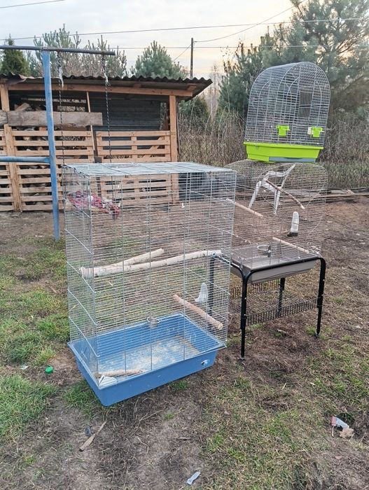 Klatki dla papug falistych