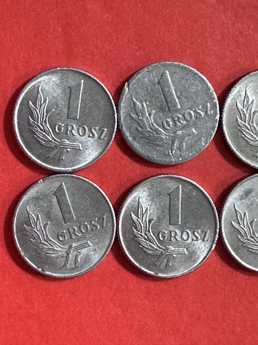 1 grosz 1949 rok