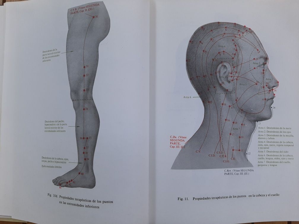 Livro Fundamentos de Acupuntura y Moxibustion de China