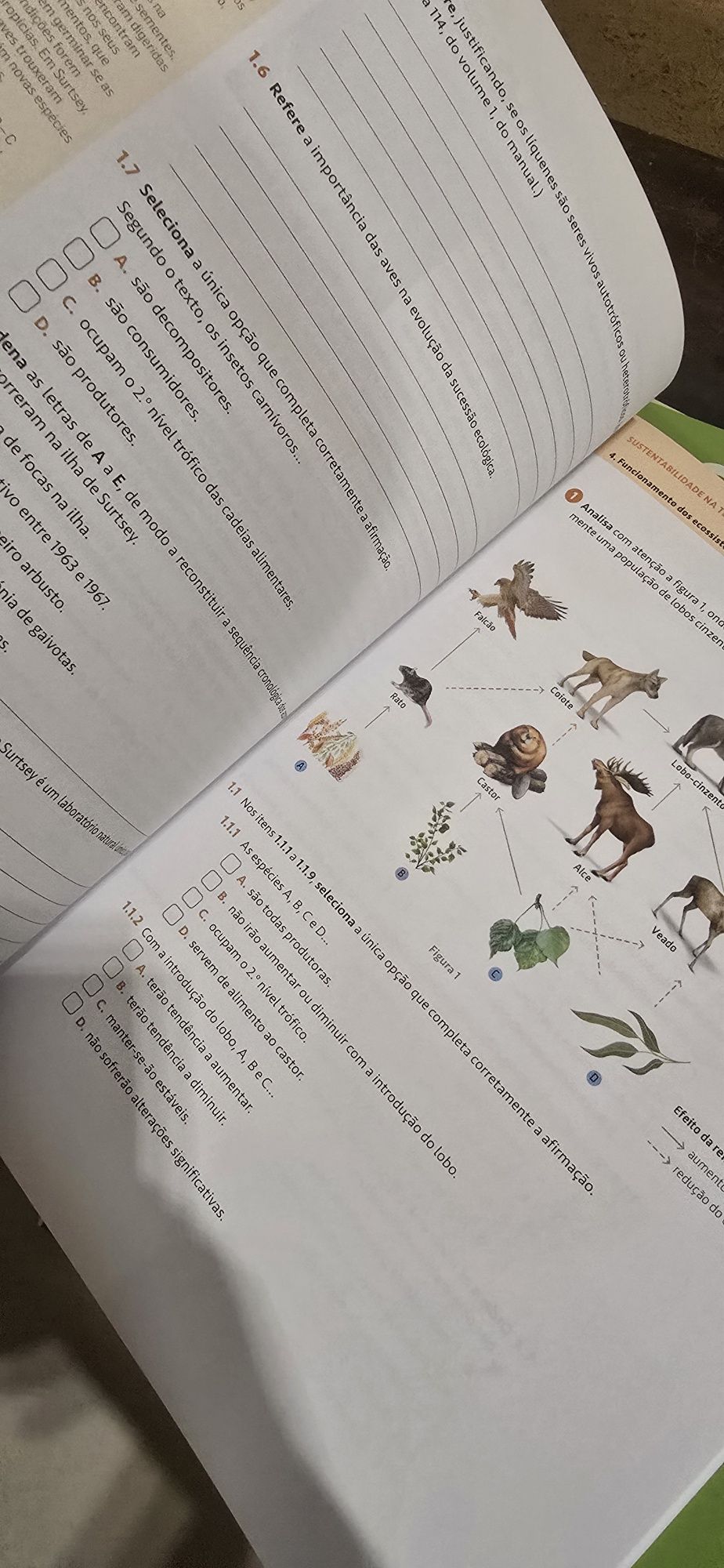 100% CN 8⁰ Ano - Dossier de Professor + Caderno de Atividades