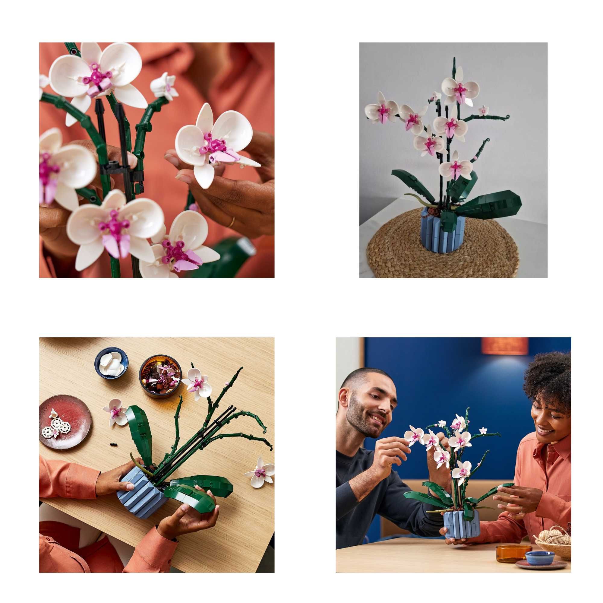 LEGO Botanicals kwiat ORCHIDEA dla dorosłych, dekoracja salonu, kwiaty