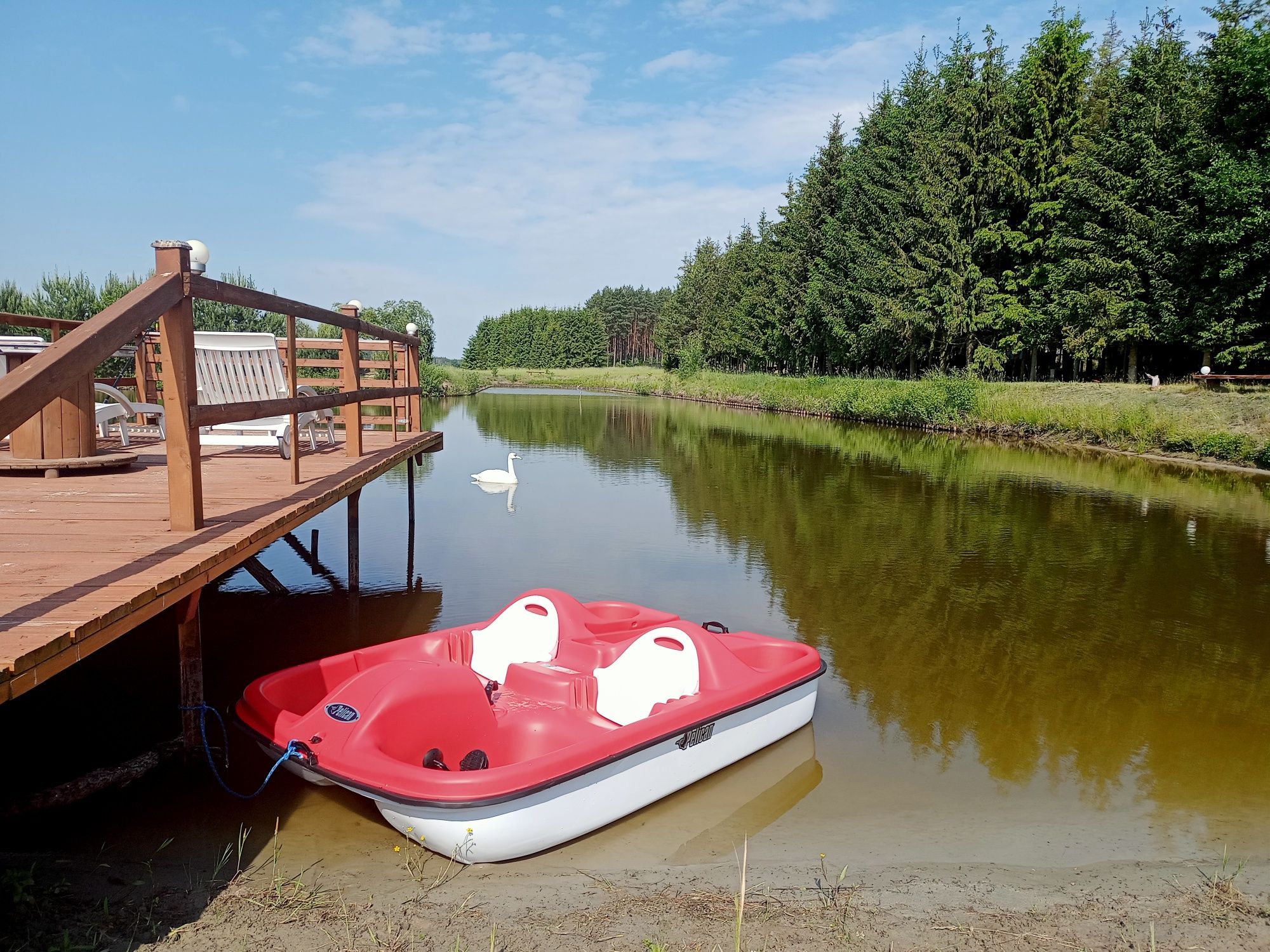 Eko domek drewniany na wyłączność, wynajem, las, staw, sauna, cisza