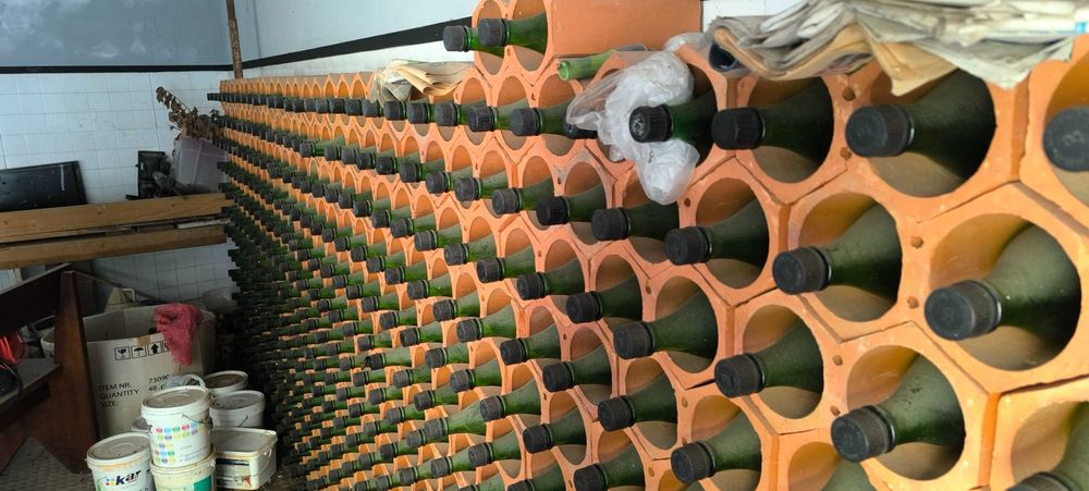 Garrafeira colmeia 500 Garrafas de litro vazias com vedante