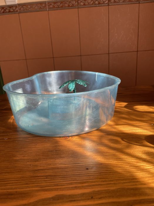 Тераріум для черепах