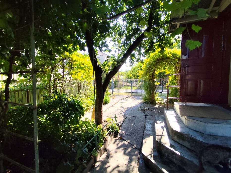 Дача с.Романівка