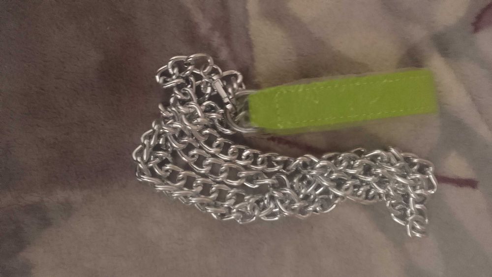 Повідок та ошийники