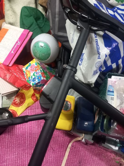 Bicicleta  elops.   ,