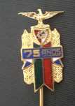 Pin alfinete SLBenfica antigo 75 anos  , raridade