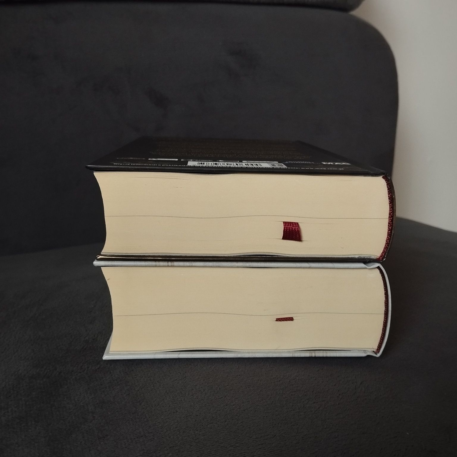 Król z bliznami Rządy wilków Leigh Bardugo