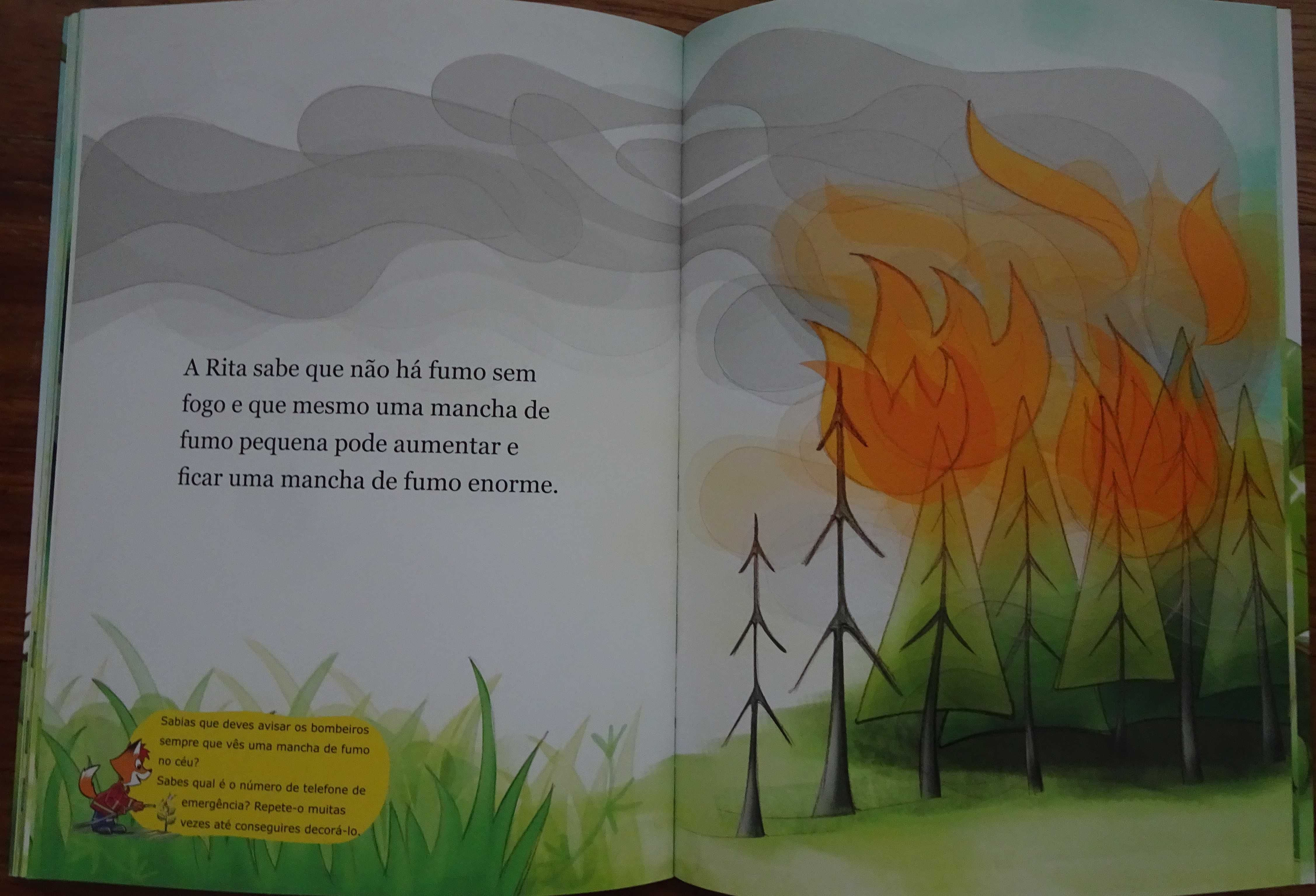 Bombeiro dos Pés À Cabeça