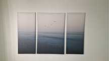 Quadro grande horizonte