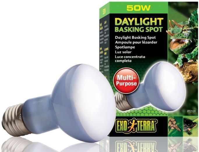 exo terra daylight 50w (żarówka grzewcza neodymowa)