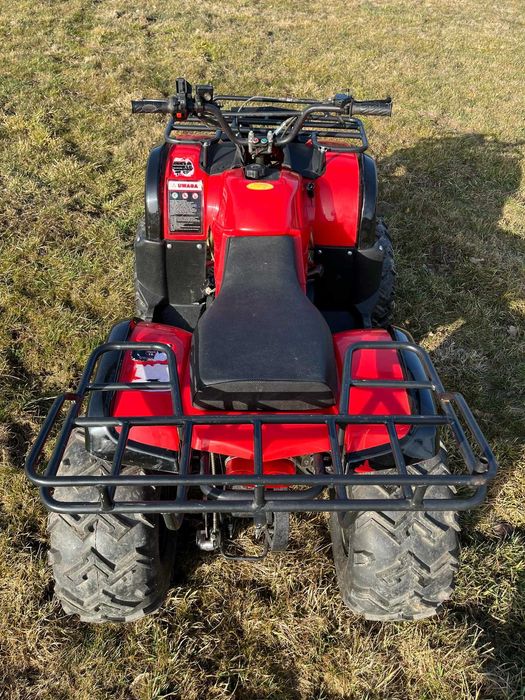 Quad 250 z Wciągarką i pługiem