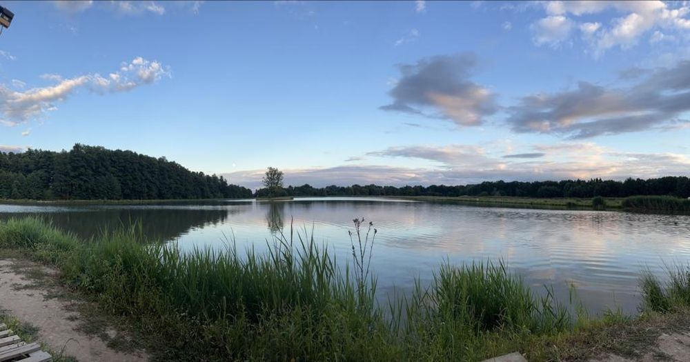 Nieruchomość  Łowisko, gospodarstwo rybackie  Korfantów