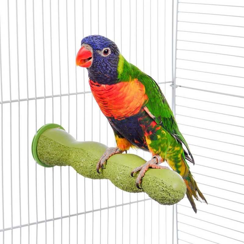 Poleiro NOVO Pedi-Perch Agapornis Papagaio Conure Living World