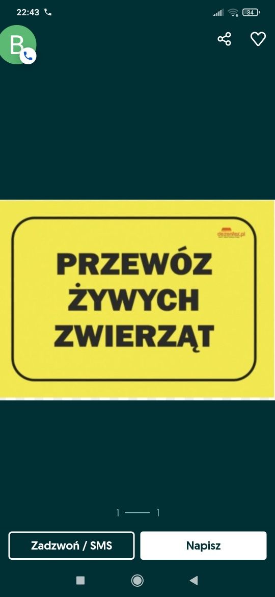 Krowa ciele koń więcej informacji w ogłoszeniu