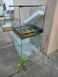 Aquário terrário par peixes repteis tartarugas aceito prop compr troca