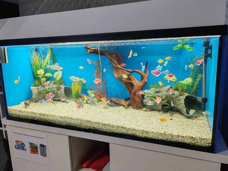 Akwarium 300l z wyposażeniem i szafka