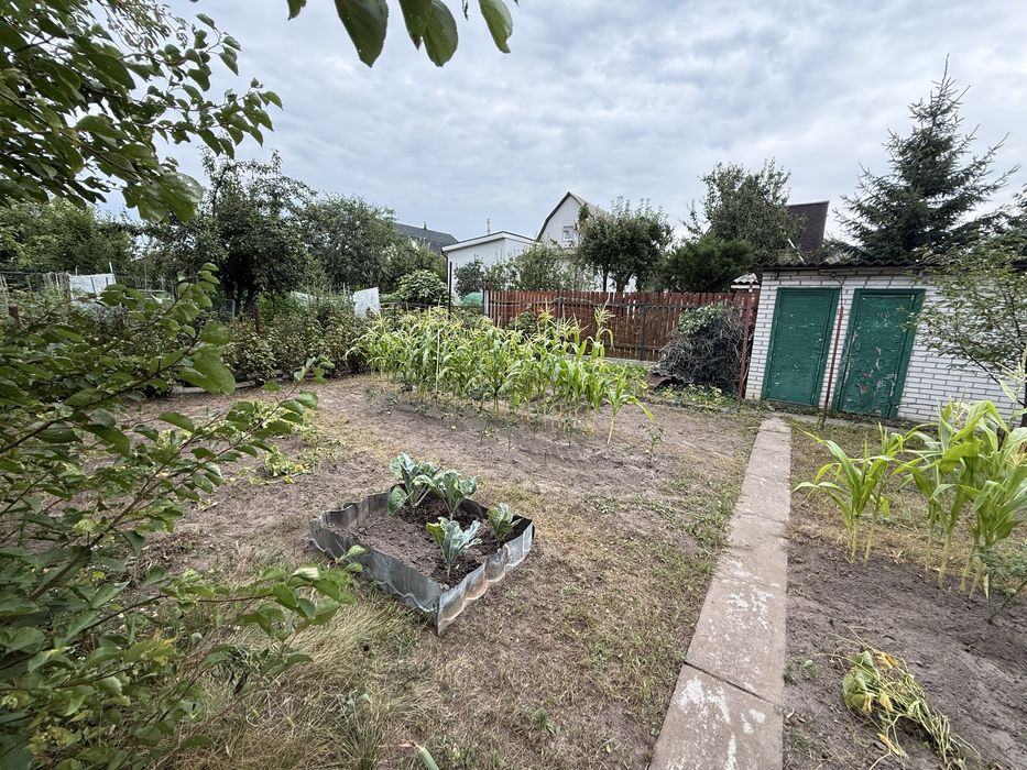 СТ Ялинка,всі комукації,сусіди,хороше місце