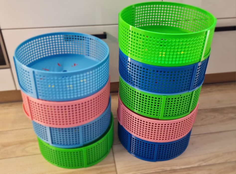 Lotopałanka karłowata kołowrotek ciemny niebieski