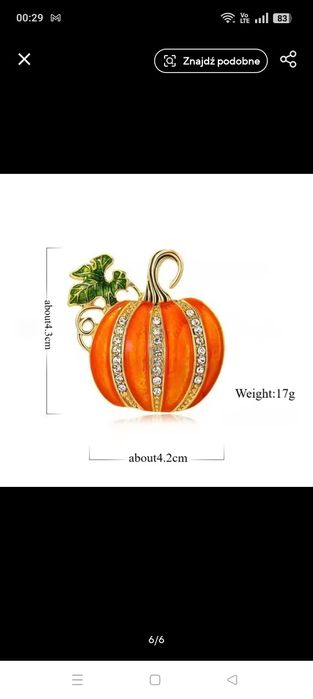 Piękna broszka dynia